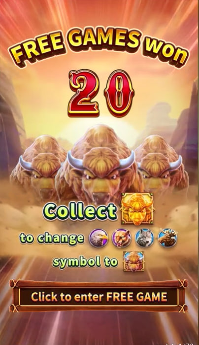 bitbet24